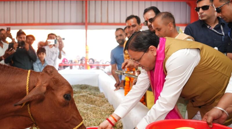 मुख्यमंत्री श्री धामी ने हल्दीघेरा गौशाला के विस्तार की घोषणा की